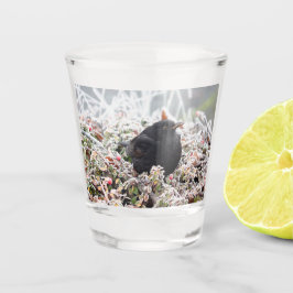 Copo De Shot Winter Blackbird