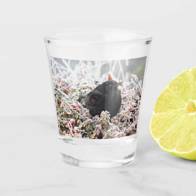 Copo De Shot Winter Blackbird (Frente)