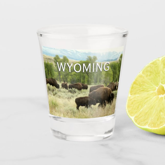 Copo De Shot Wyoming Bison Nature (Frente)