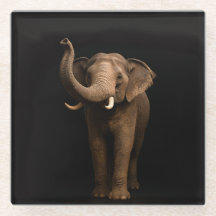 Copo de vidro Preto 4 Luxe, Elefante Poderoso