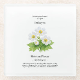 Copo para Flores de Esqueleto – Diphylleia grayi