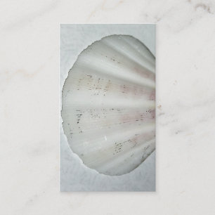 Cor cartão de visita neutra da Seashell Branca