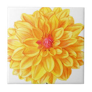 Cor da água amarela Dahlia
