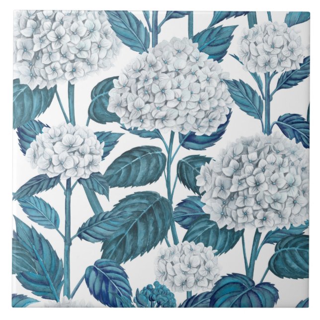 Cor da água da hidrangea branca (Frente)