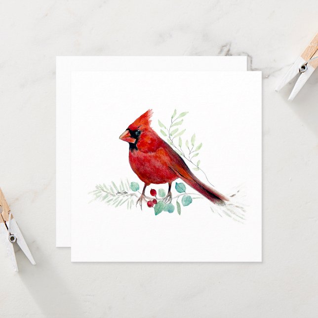 Cor da Água do Pássaro Cardinal Vermelho (Red Cardinal Watercolor Colored Pencil Blank Square Note Cards from Jenn Steffen Art)