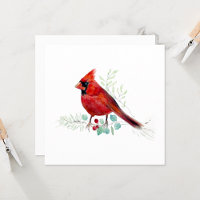 Cor da Água do Pássaro Cardinal Vermelho