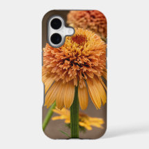 Cor da Flor Laranja