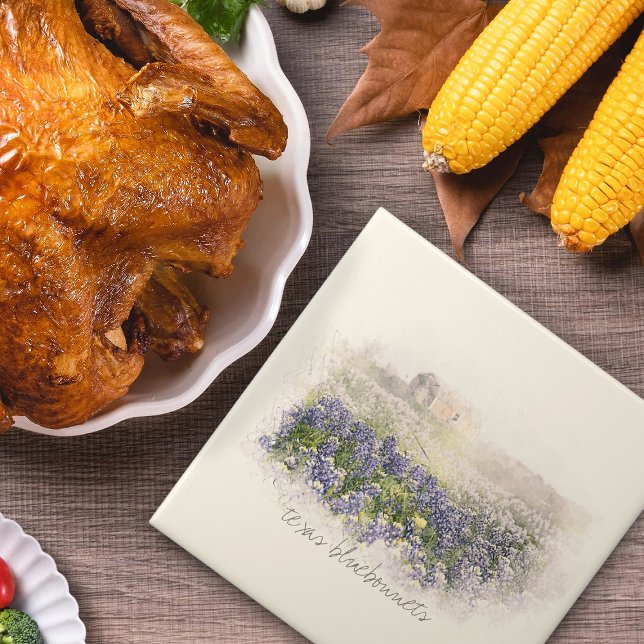 Cor d'água esboçada do campo Bluebonnet (Criador carregado)