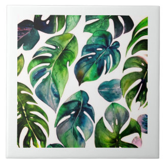 cor d'água monstera com quadro