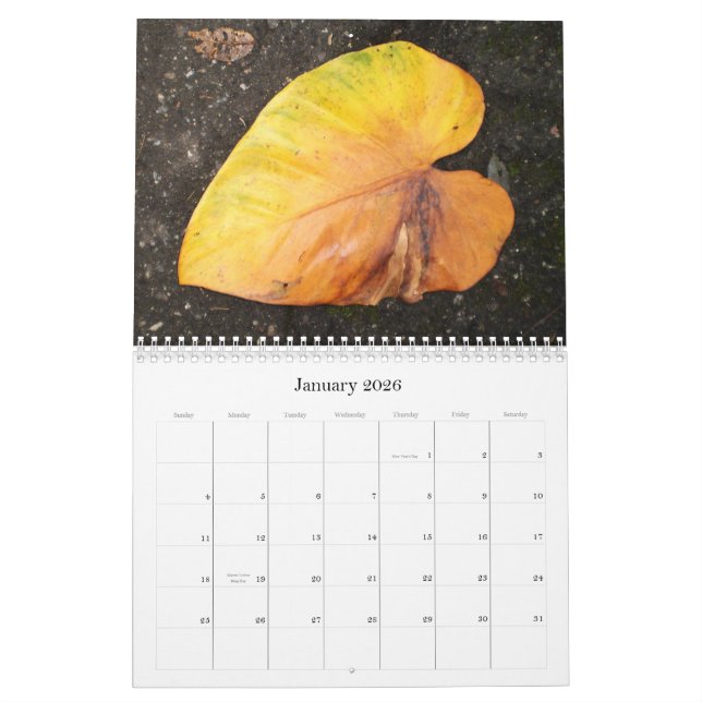 Cor das caraíbas… o calendário 2009 das flores (Jan 2026)