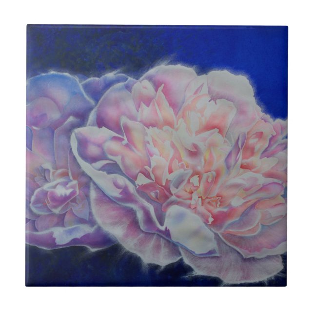 Cor-de-água branca azul-rosa, elegante romântica (Frente)