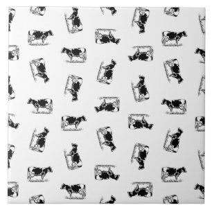 COR DE FUNDO PERSONALIZADO DA Vaca Holstein Cláss