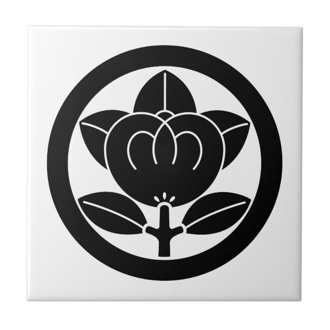 Cor de laranja mandarina em círculo (Frente)