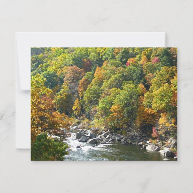 Cor de queda no Parque Estadual de Ohiopyle (Frente)