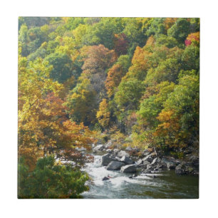 Cor de queda no Parque Estadual de Ohiopyle
