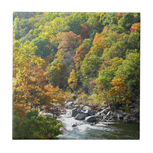 Cor de queda no Parque Estadual de Ohiopyle (Frente)
