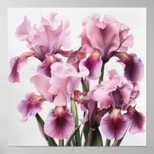 Cor-de-rosa irrissa Impressão de arte floral