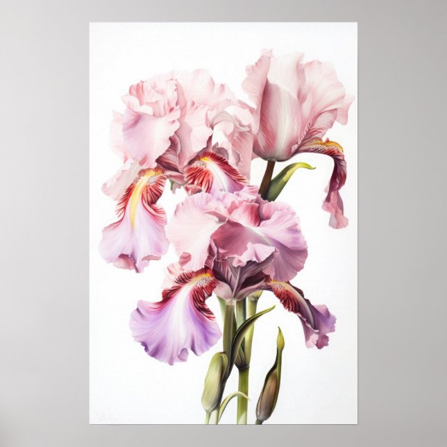 Cor-de-rosa irrissa Impressão de arte floral (Frente)