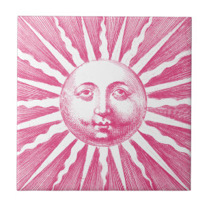 Cor - de - rosa - velha branca