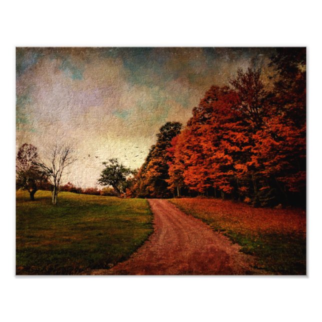 Cor Impressão-Mere da Fotografia (Frente)