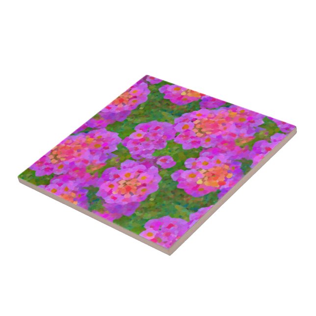 Cor Kalanchoe (Lateral)