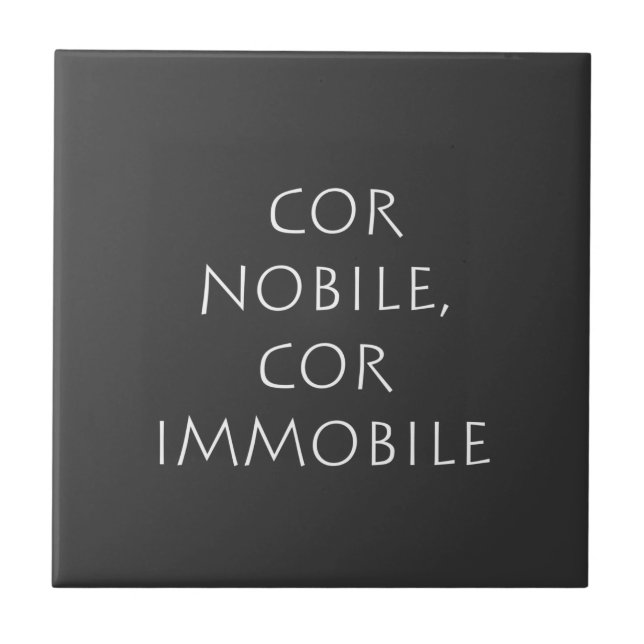 Cor nobile cor immóvel (Frente)