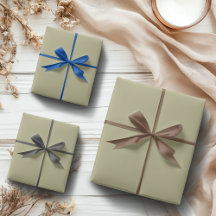 Cor Sálida Verde Sage | Clássico | Elegante