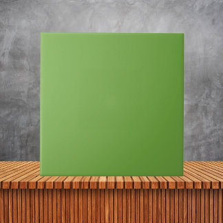 Cor Sólida Simples Minúscula Verde Comum #73A942