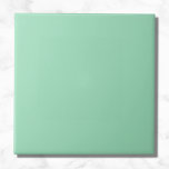 Cor Sólida Verde do Seafoam<br><div class="desc">Cor Sólida Verde do Seafoam</div>