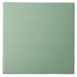 Cor Sólida Verde Mínima<br><div class="desc">Cozinha Sólida e Plana Verde Minimalista e Banheiro</div>