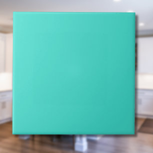 Cor Sólido Azul Turquesa Clássico Elegante