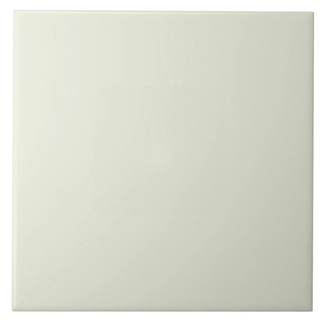 Cor Verde Sólido (Frente)