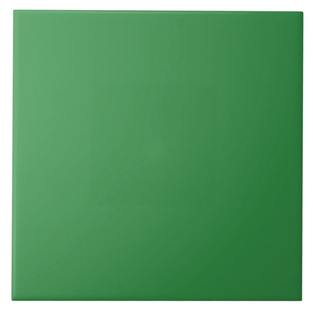 Cor Verde Sólido (Frente)