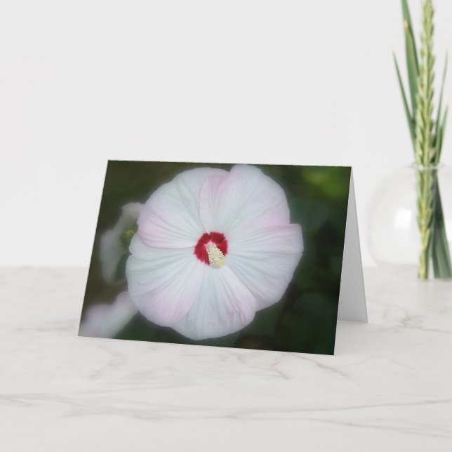 Cora o cartão do hibiscus (Frente)