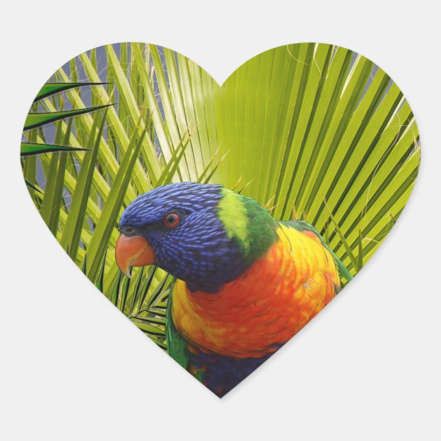 Coração Adesivo de aves tropicais (Frente)
