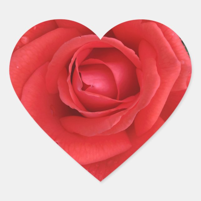 Coração Adesivo de Rosa (Frente)