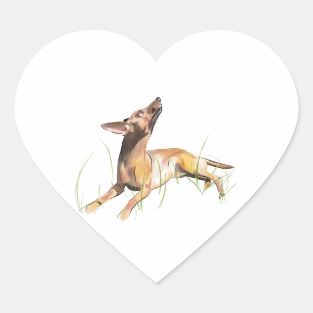 Coração Adesivo do Pinscher Miniatura (Frente)