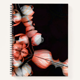 "Coração branco a preto do sol"