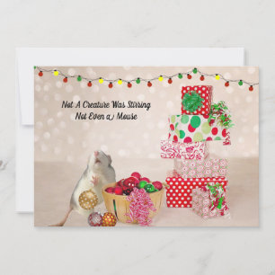 Coração De Rato Bonito Para O Natal