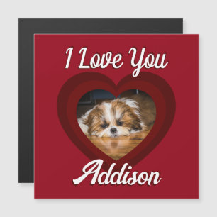 Coração de valentine cachorro amor Foto e nome per