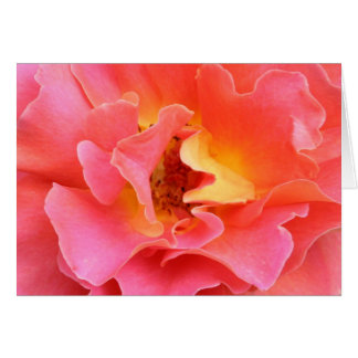 coração do cartão vazio do rosa