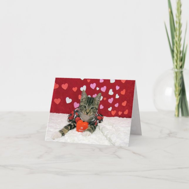 Coração do Namorados de Bandit - Cartão de Gato /  (Frente)