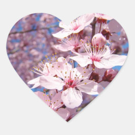 Coração Primavera cor-de-rosa Flores Flores Flores adesivo