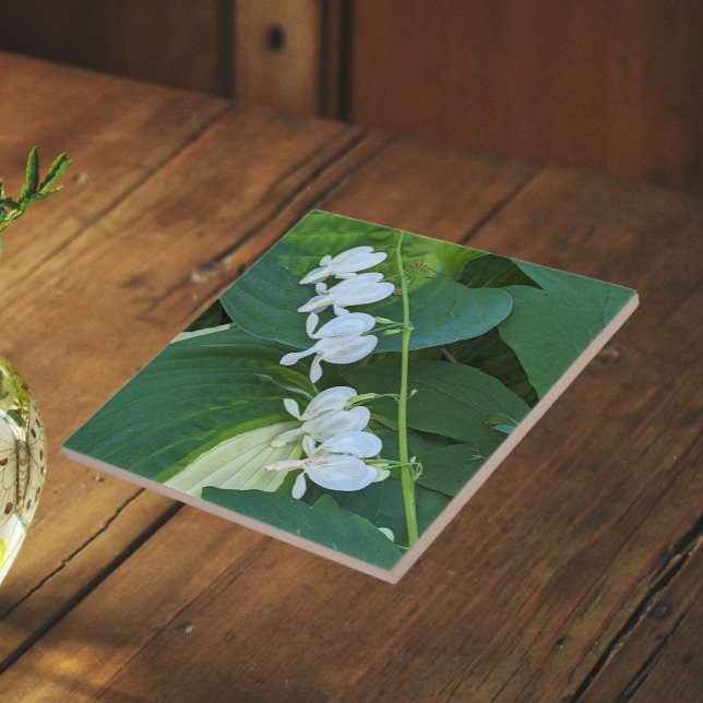 Coração Sangrando Branco Floral (In Situ)