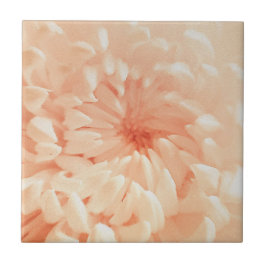 Coral Chrysanthemum