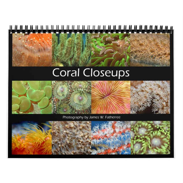 Coral Closeups Calendário de Muro por J.W. Pai. (Capa)
