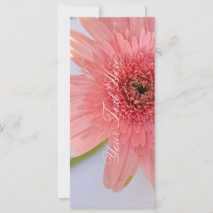 Coral Cor-de-rosa - Arroysanthemum A Sua Placa Pla
