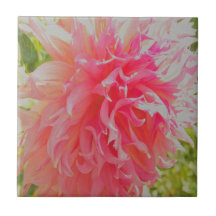 Coral Elegante e Dália Decorativa Rosa