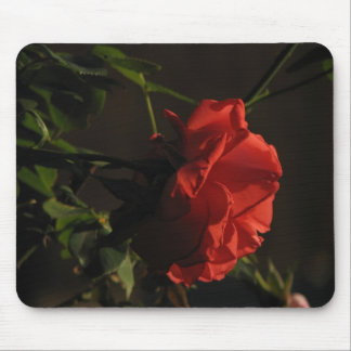 Coral Mousepad cor-de-rosa