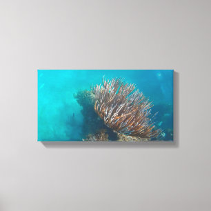 CORAL NA CANVAS 20 "x 16"